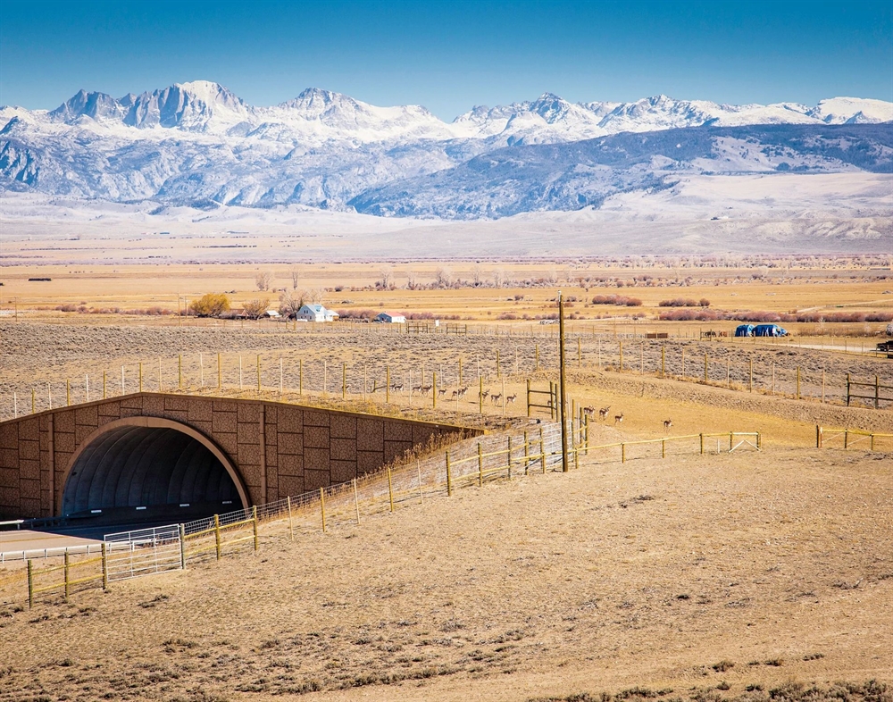 Experts Agree on the Need for Climateinformed Wildlife Crossings